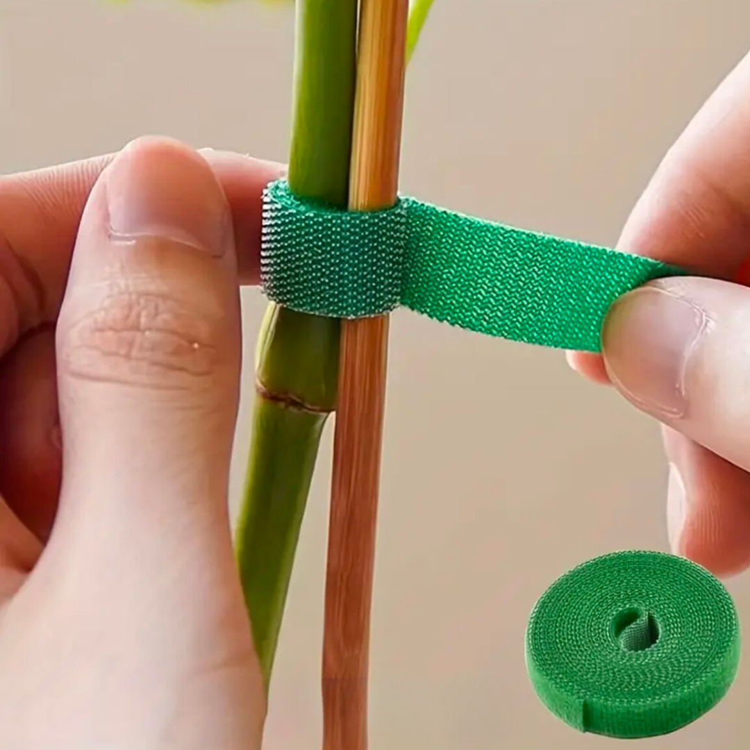 Pack 3 Amarras Velcro para Plantas | Tutorado Reutilizable 1 cm x 1 m