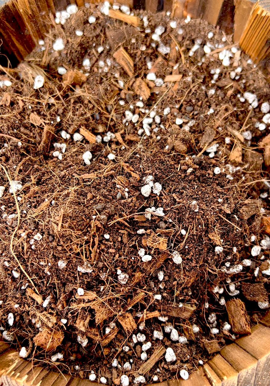 Sustrato Premium para Plantas de Interior y Tropicales – 5, 10 y 20 L