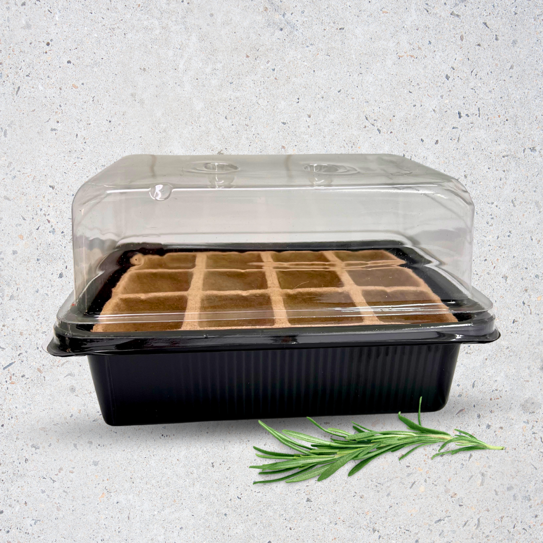 Germinador de Semillas con tapa - Mini Invernadero - Semillero