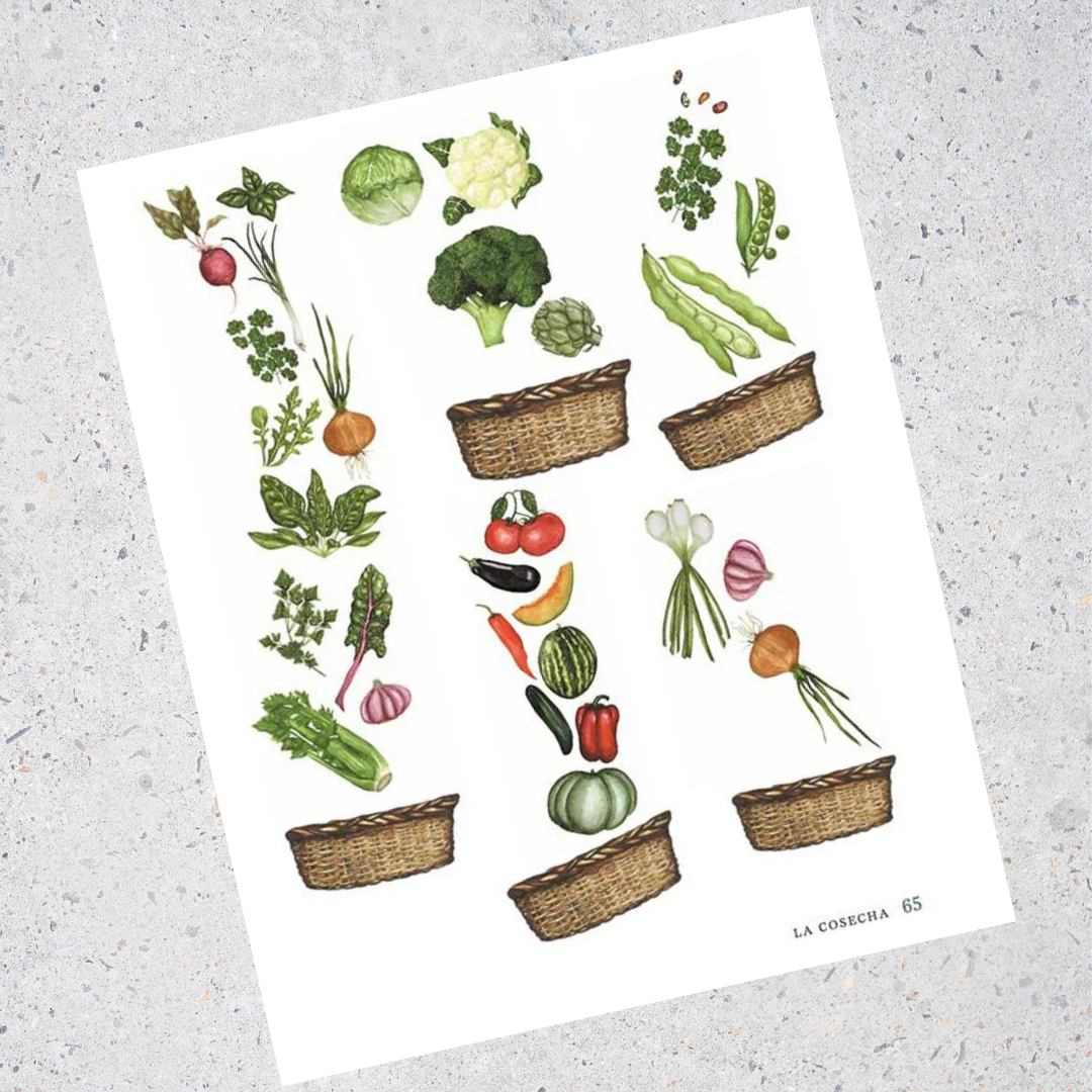 Libro Cultivarnos, enseñanzas de un huerto (para toda la familia)