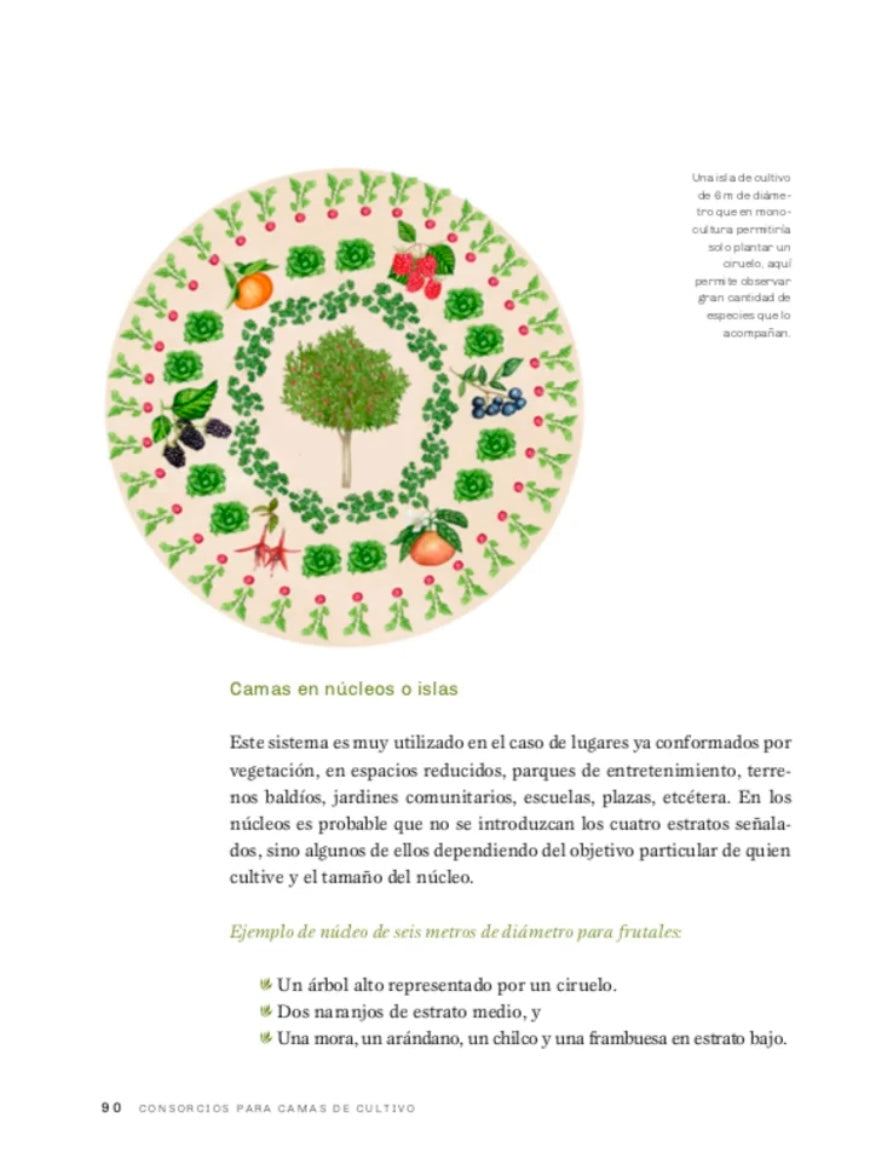 LIBRO UN BOSQUE DE ALIMENTOS, urbano o rural.