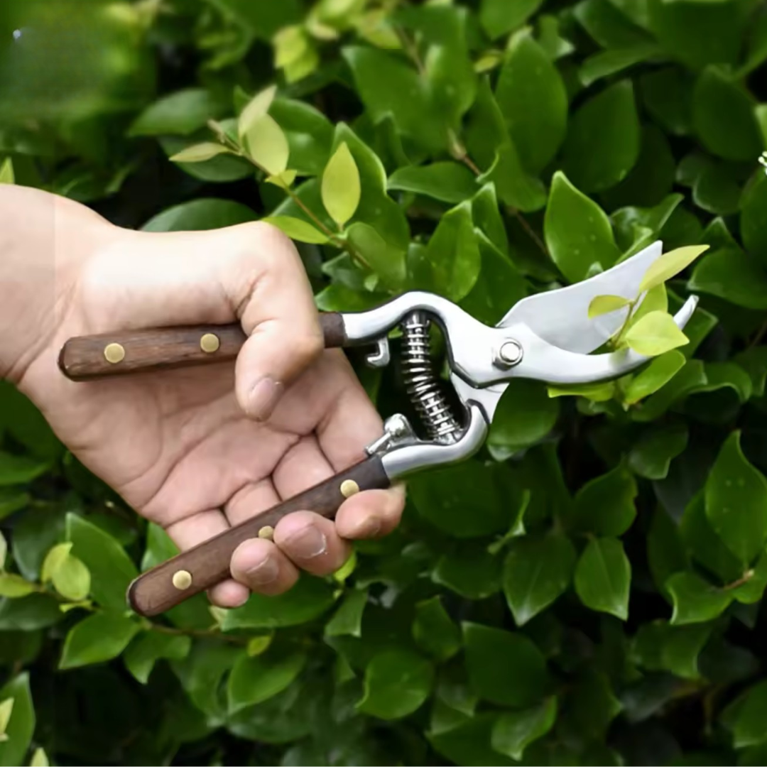 Tijera de Poda By-Pass de Acero Inoxidable con Mango de Madera | Horticulturachile