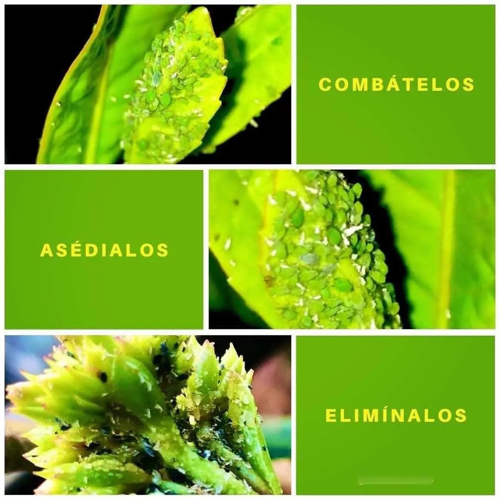 Asedio® Control de plagas ecológico