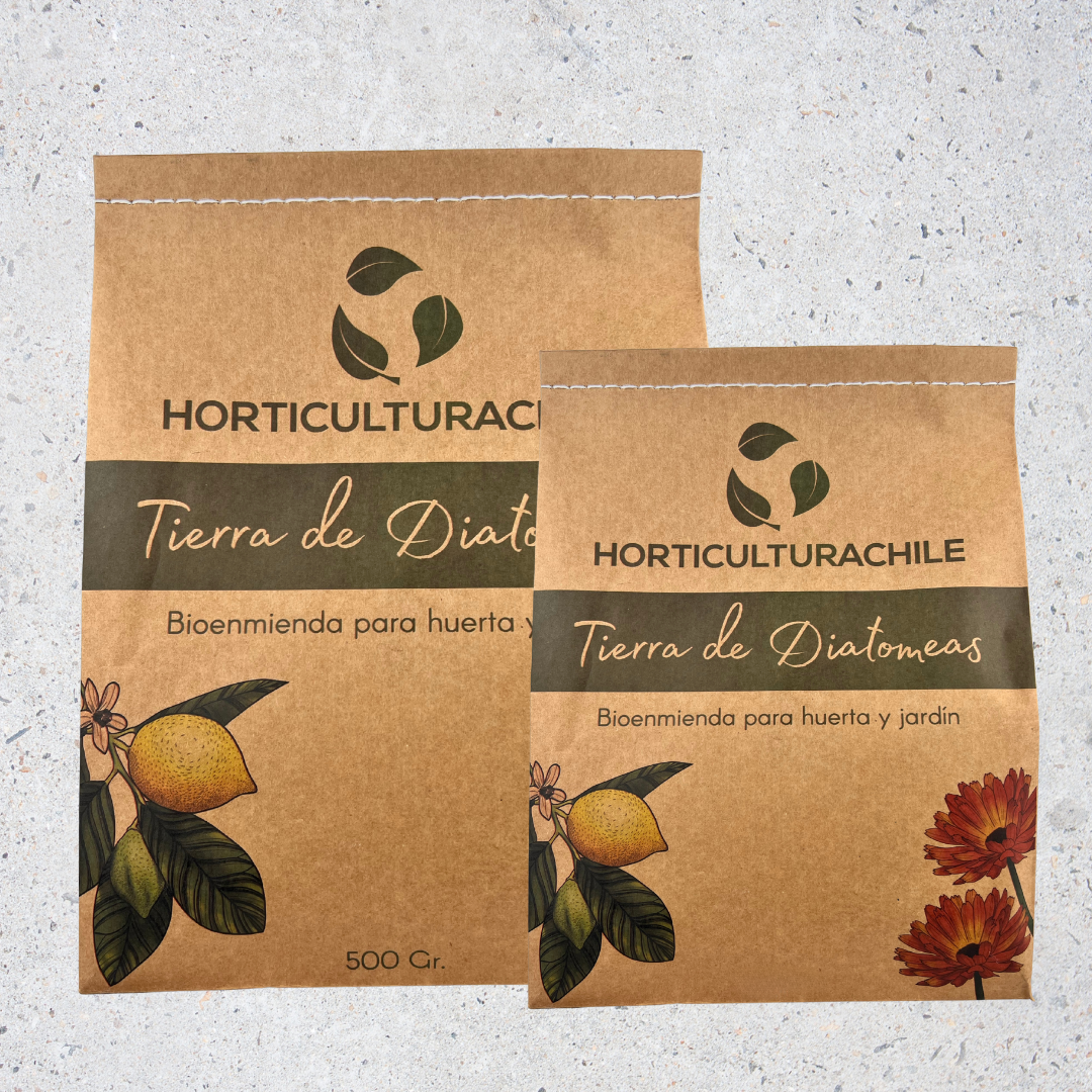 Tierra de diatomeas