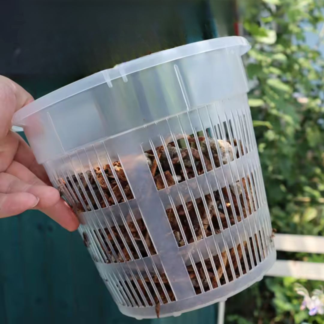 Kit Macetero Plástico para Orquídeas + Sustrato Premium 2L – Fibra de Coco, Piedra Pómez y Corteza de Pino