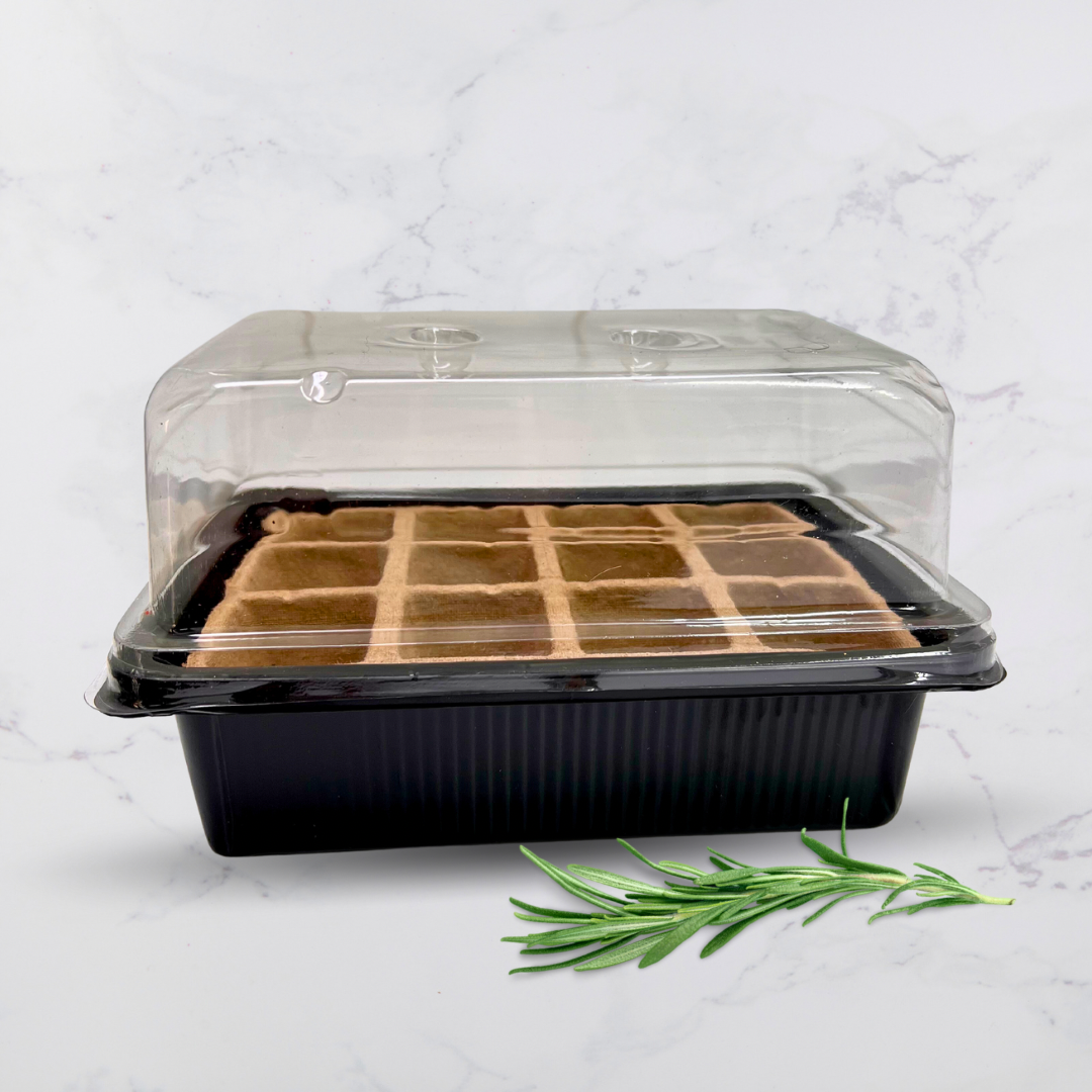 Germinador de Semillas con tapa - Mini Invernadero - Semillero –  Horticulturachile