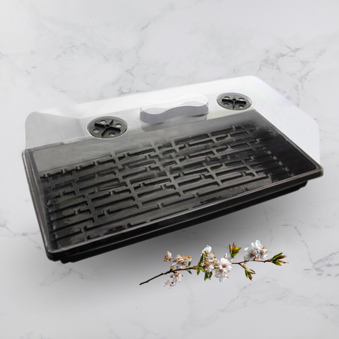 Propagador de Esquejes con Cúpula – Ideal para Germinación y Enraizamiento