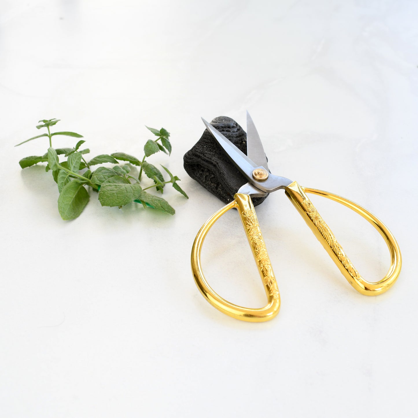 Tijera para esquejes