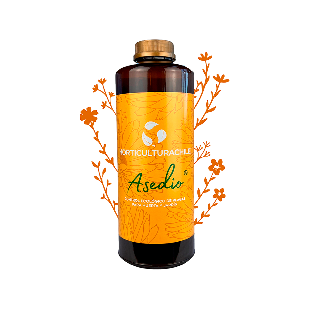 Asedio (jabón potásico + aceite de neem) – Huerto Machalí