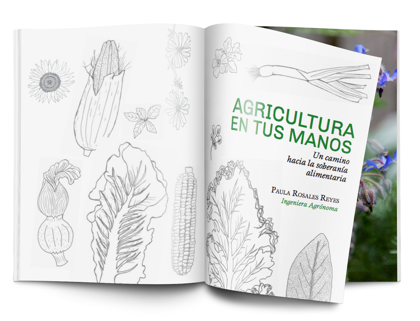 Libro Agricultura en tus manos - Paula Rosales