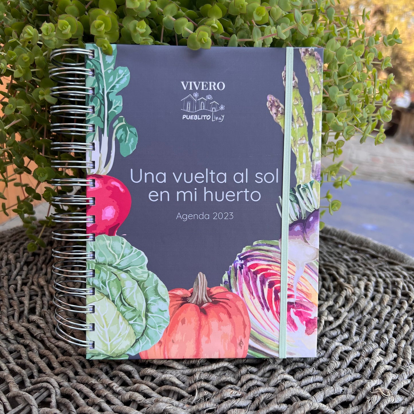 Planner “Una vuelta al sol en mi huerto”