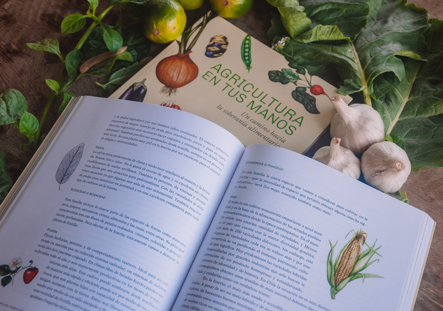 Libro Agricultura en tus manos - Paula Rosales
