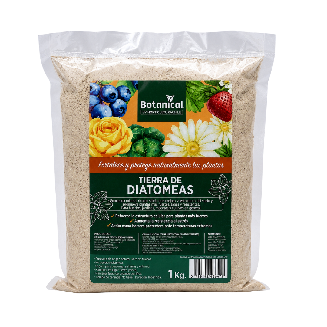 Tierra de diatomeas