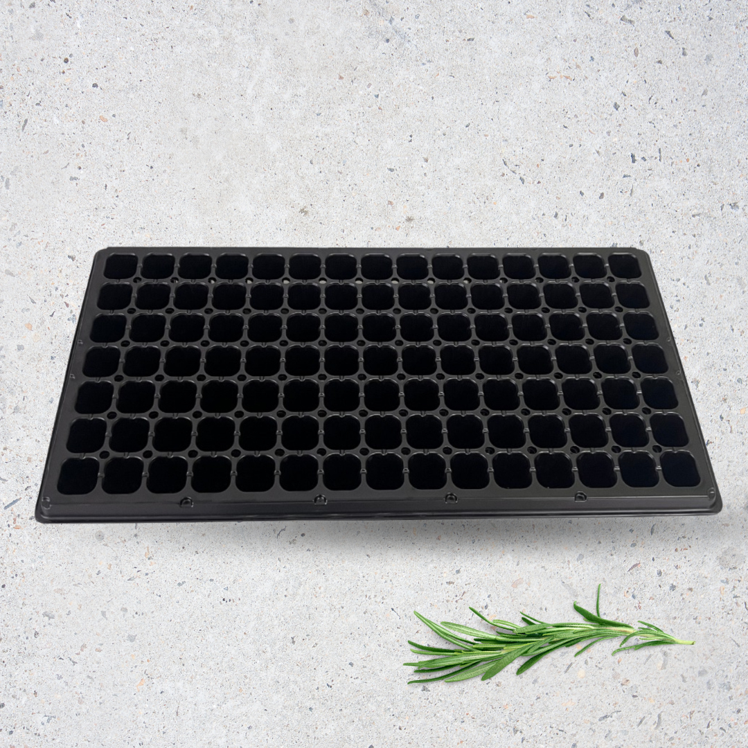 Almaciguera rígida de 72 cavidades - Pack de 3 unidades para germinación profesional