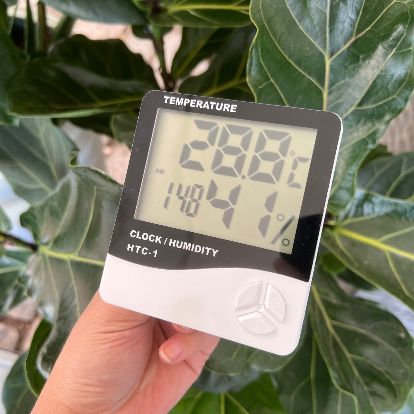 Medidor de temperatura y humedad digital - Termohigrómetro