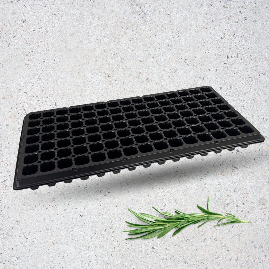 Almaciguera rígida de 72 cavidades - Pack de 3 unidades para germinación profesional