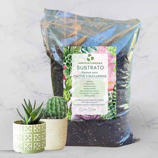 Sustrato Premium Cactus y Suculentas
