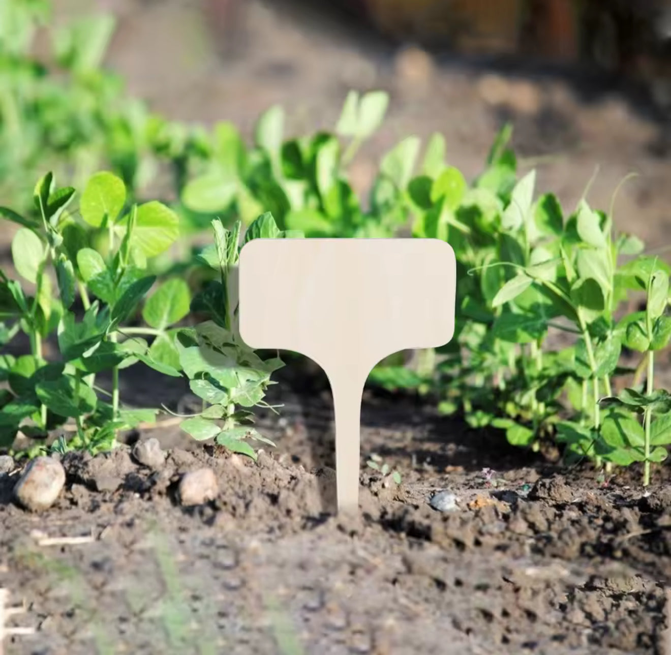 Set de 10 Marcadores de Bambú para Plantas y Huertos – Ecológicos y Reutilizables