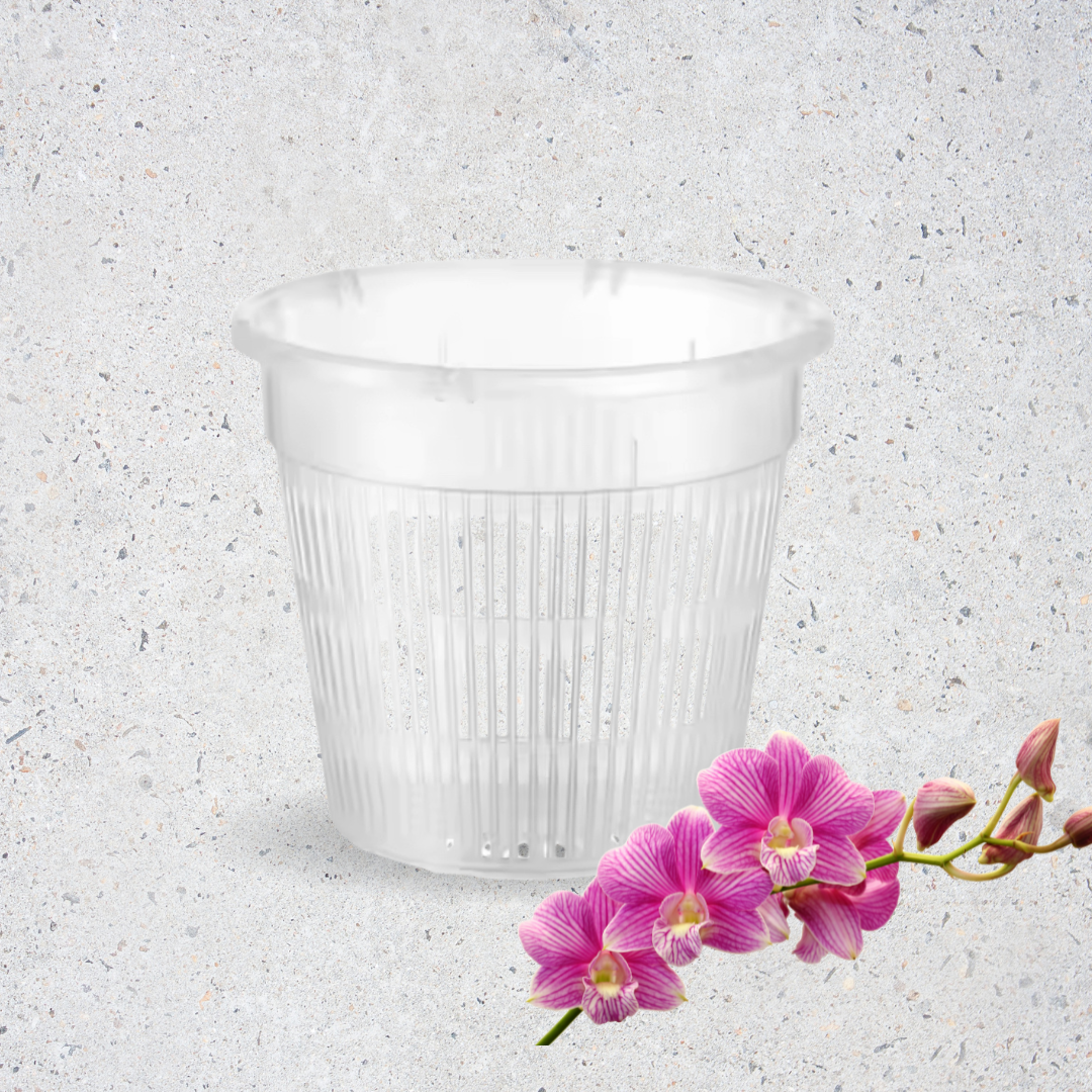 Macetero Plástico para Orquídeas con Ranuras – 13x14 cm, Ventilación y Drenaje Óptimos