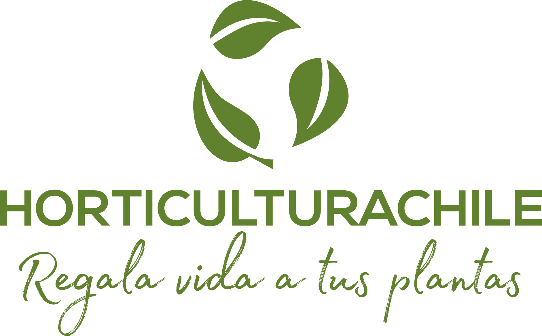 Rociador pulverizador a presión 1,5 litros – Horticulturachile