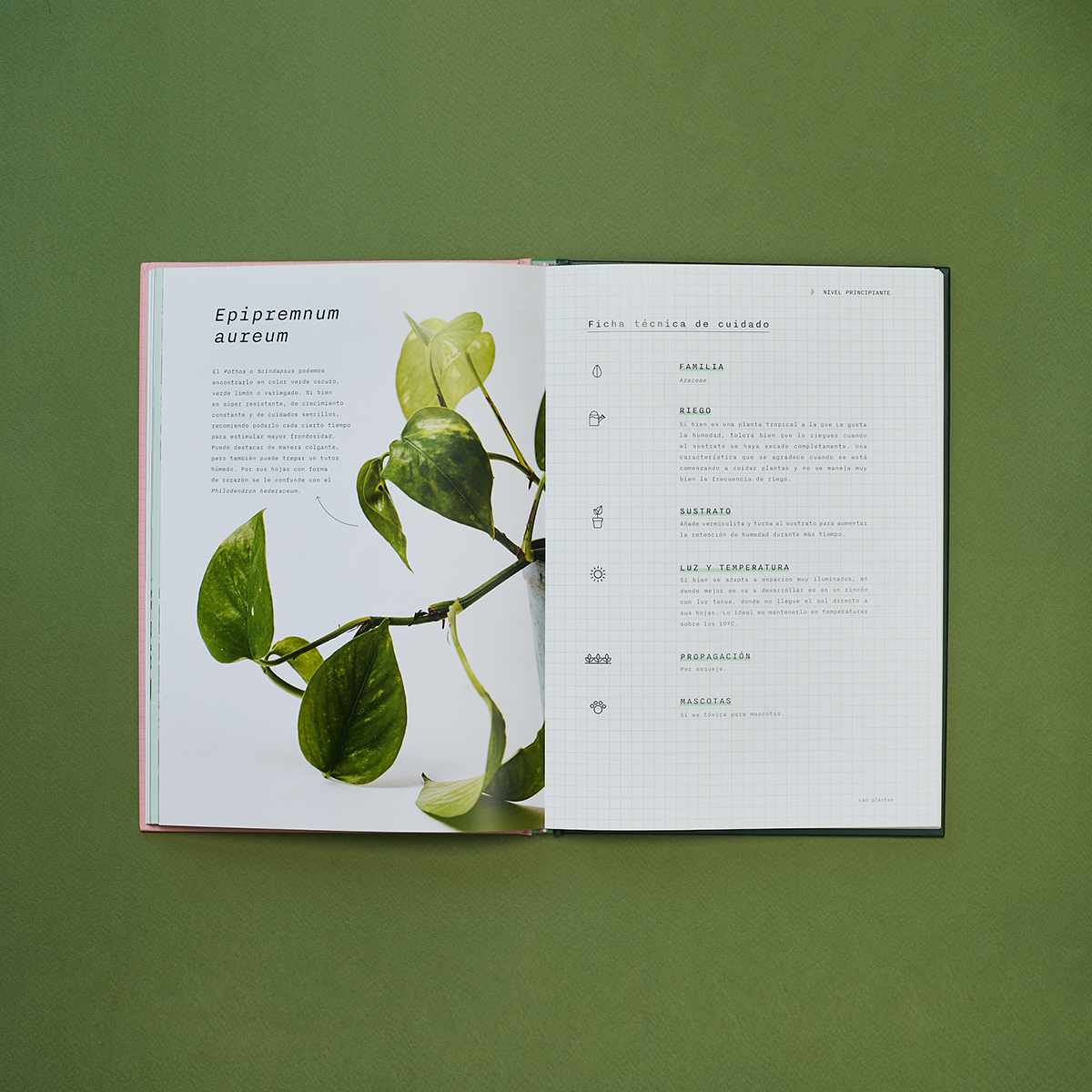 Libro Laboratorio Botánico. Una guía para cuidar, experimentar y crecer con plantas de interior.